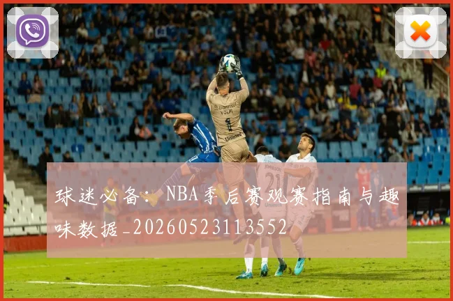 球迷必备：NBA季后赛观赛指南与趣味数据_20260523113552